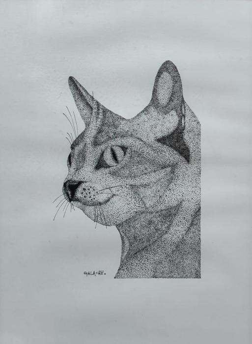 PERSI - Tinta - 30 x 42 cm